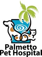 palmetto pet hospita